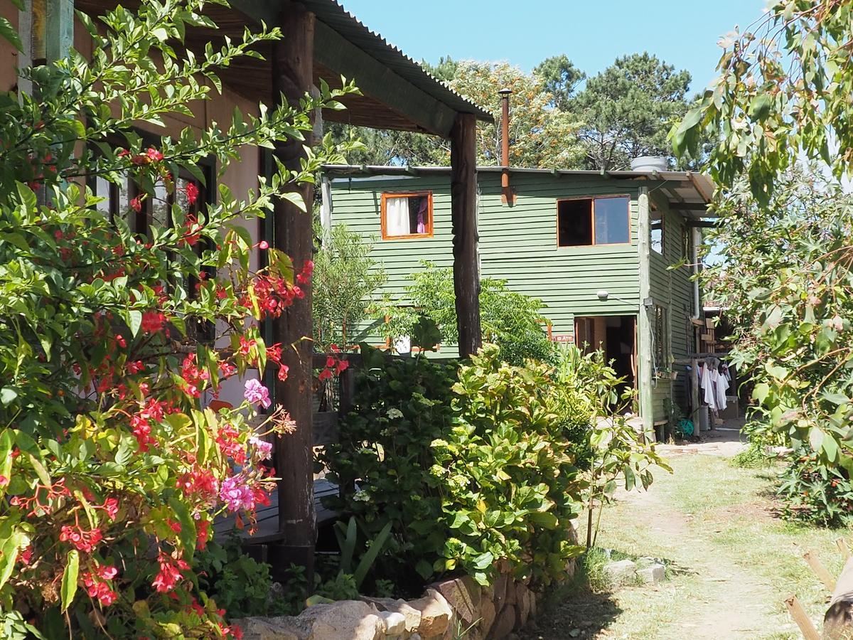 Eco Choclo Bed & Breakfast ลาปาโลมา ภายนอก รูปภาพ